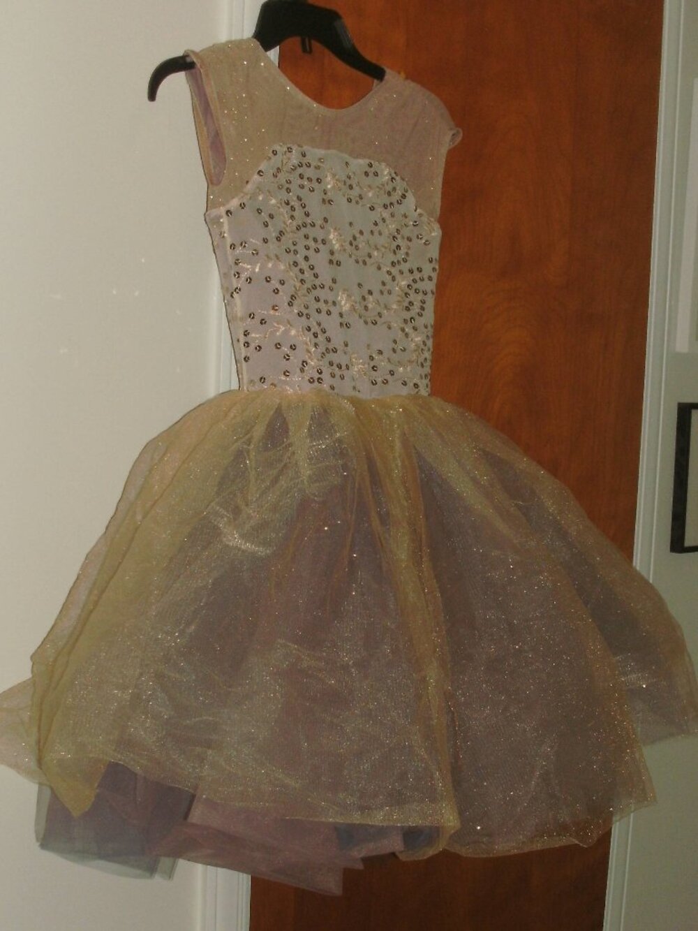 Elegant Embellished Gold Tulle Dance Ballet Skating Fairy Princess Costume Dress